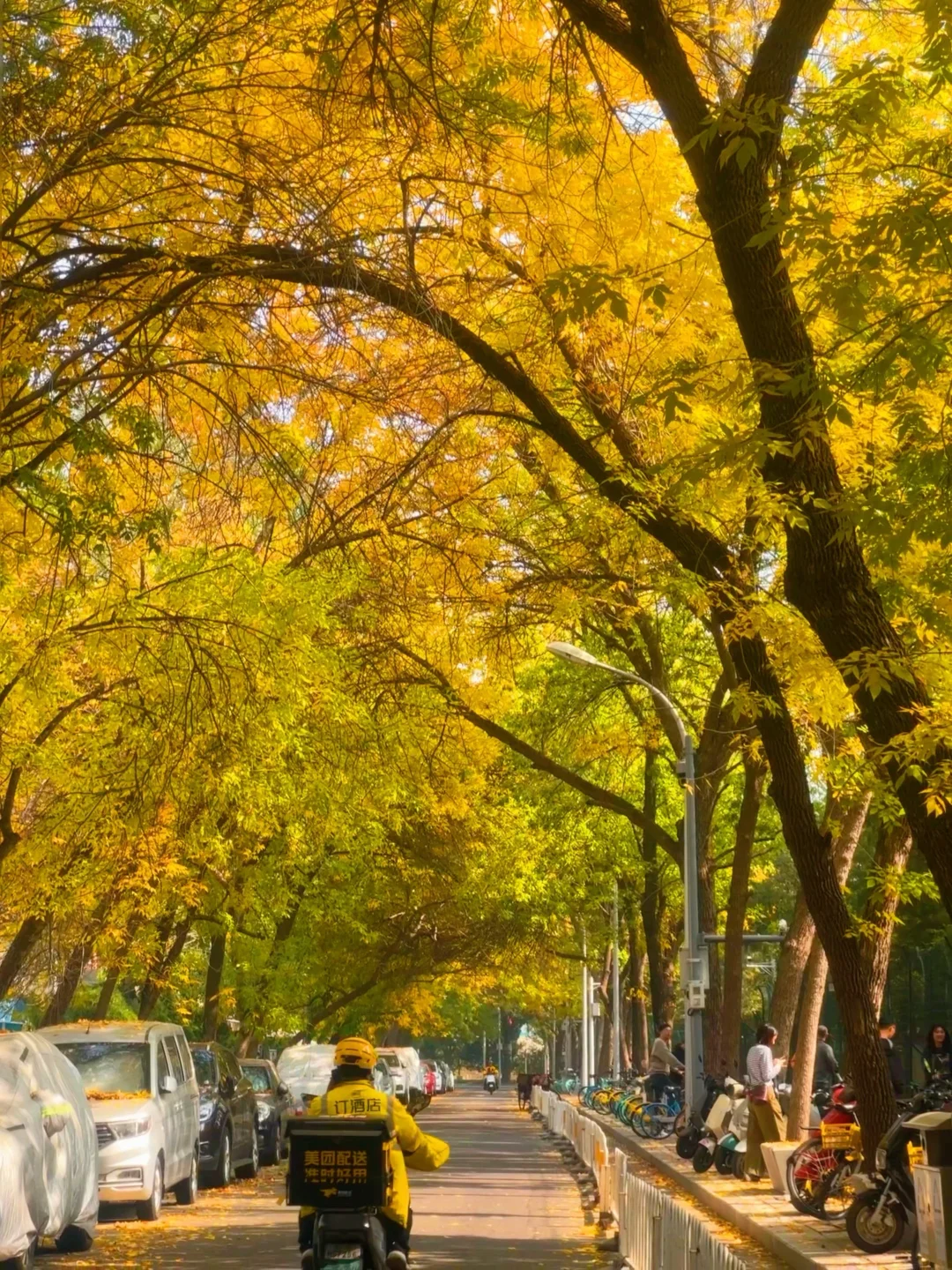 10.11 秋景实况播报！三里屯赏秋第一次可冲