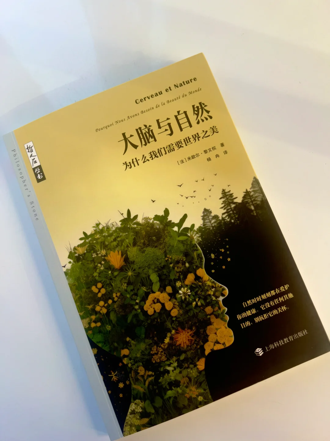 屏幕霸权时代，亲近自然是对生命本质的回归