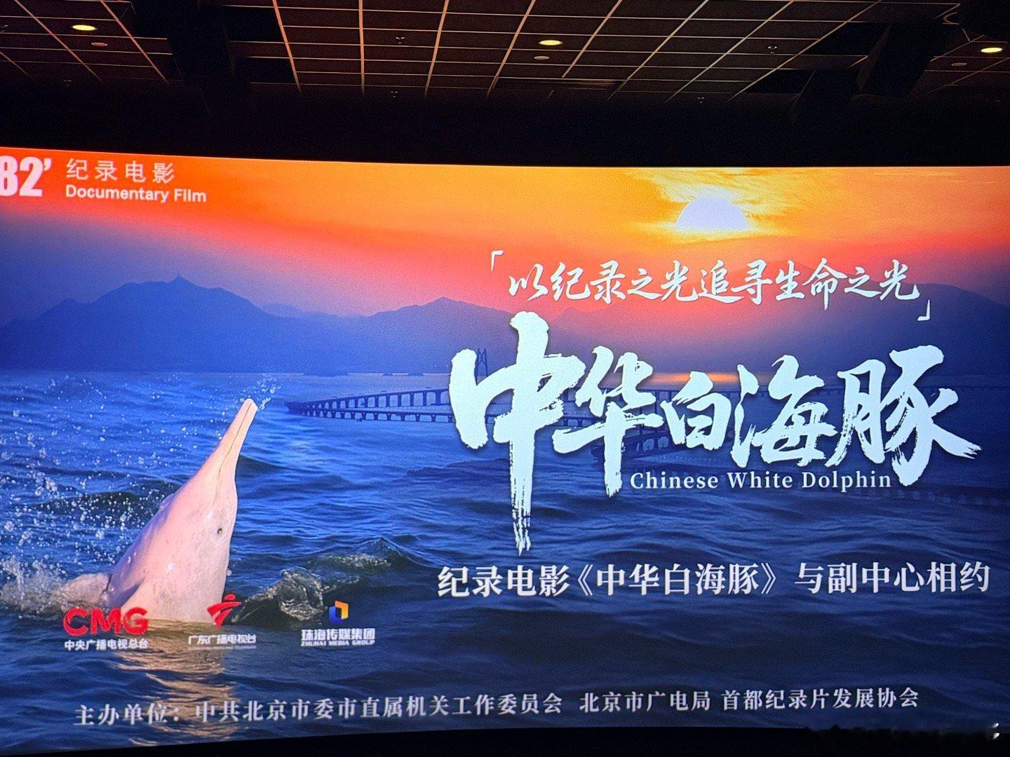 今天在北京副中心，亲历了“海上大熊猫”的大银幕放映！你们知道吗？中华白海豚刚出生