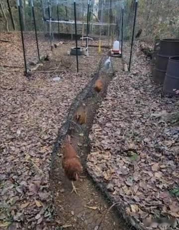 设计这个的是个人才吧[doge] ​​​