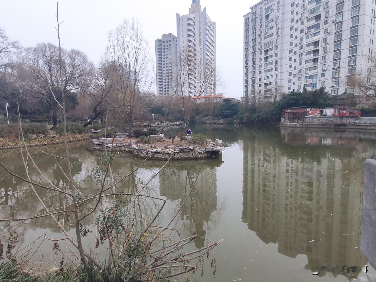 郑州市人民公园随手拍:位于郑州市人民公园胡公祠北边的人工湖里有一座小岛(最小的那