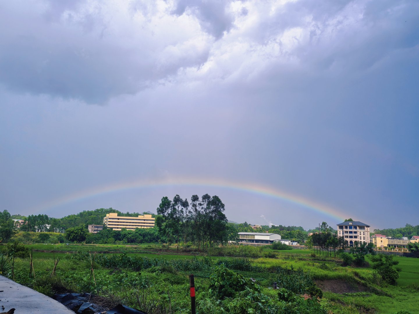 刚刚的雨后彩虹🌈🌈🌈 