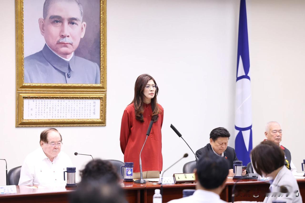 民进党批郑丽文附和 “一中” 政策 与国际化脱节 不符合台湾地区路线

针对国民