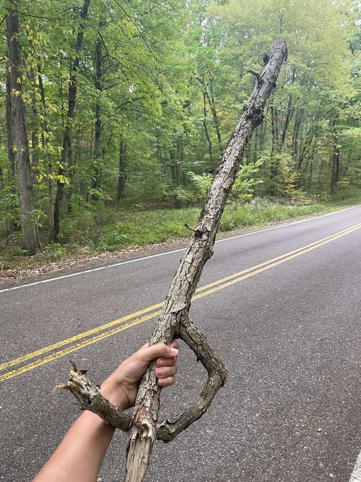 完美的树枝大剑！ 