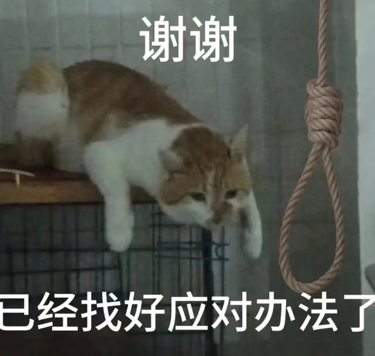 逆水寒手游[超话] 这一波是玩家被tx和wy联手割韭菜…向钱看了属于是 