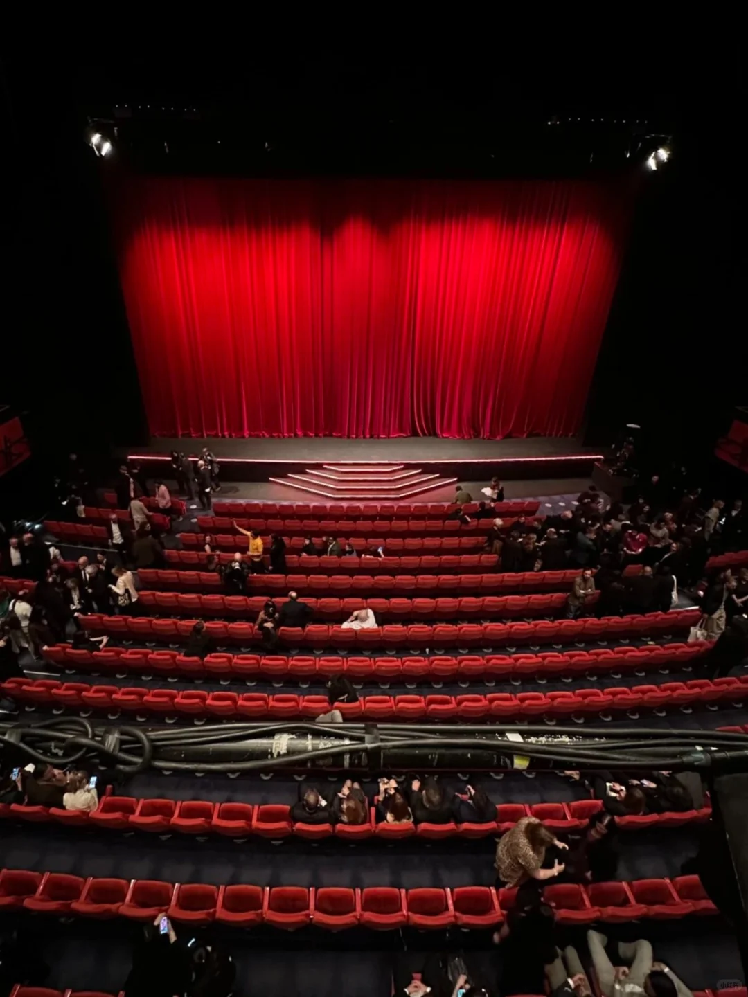 FIRST策展主管教你如何在电影节打怪升级