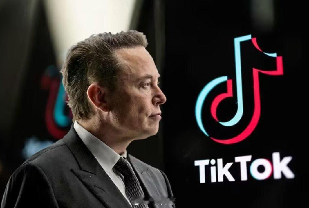 高芙送别TikTok 来自马斯克—— “TikTok 不应该在美国被禁止，即使这