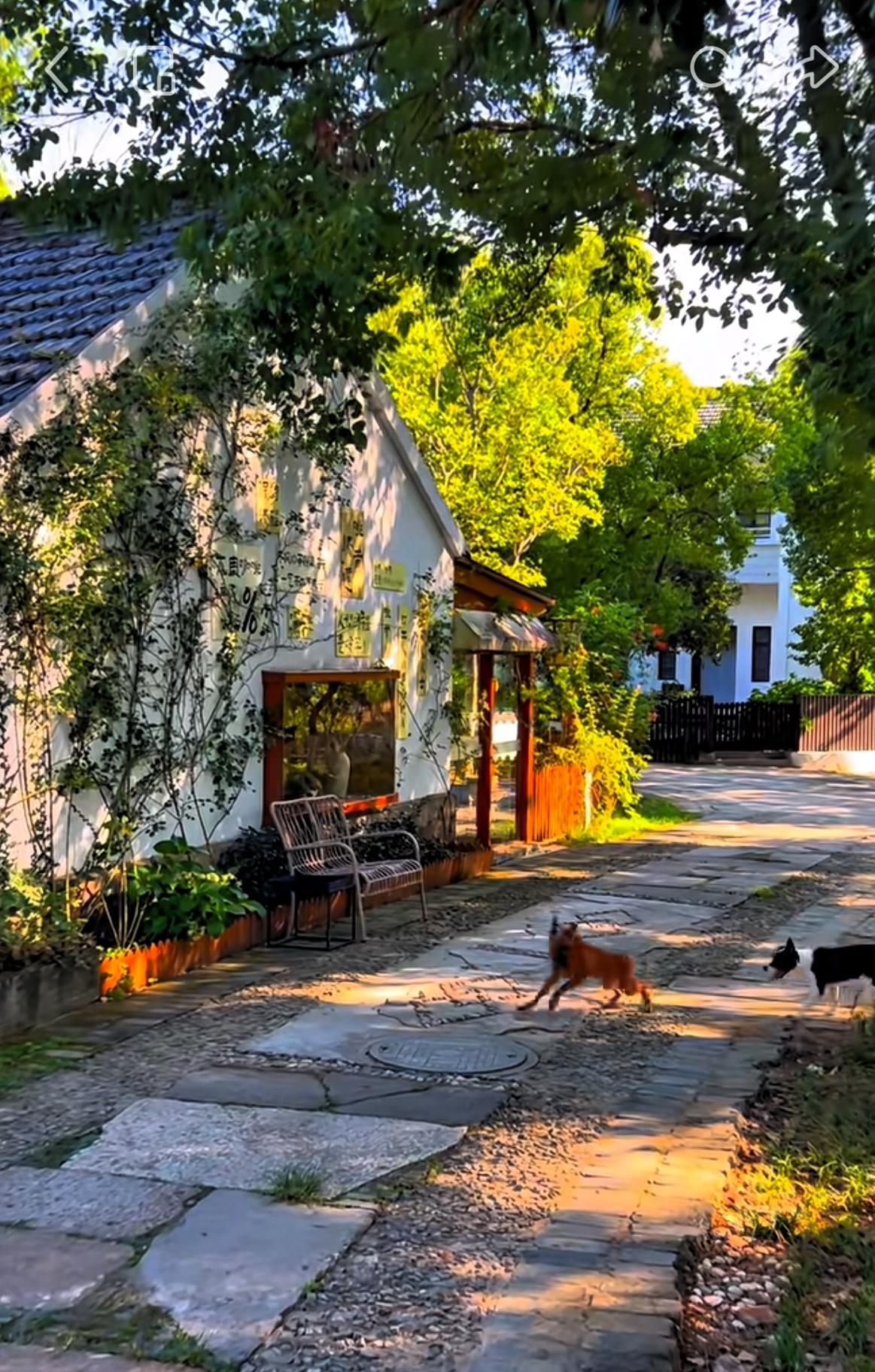 老玄学大师的忠告：
“身弱之人，命里财很大，财多身弱，有的早期越穷，晚期越有钱，