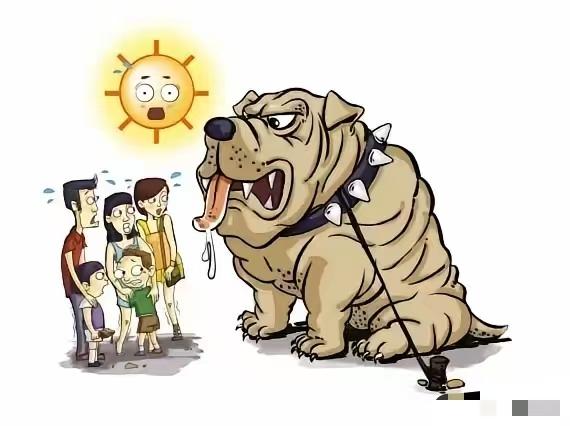 北京首例宠物中毒案宣判，对于判决结果众说纷纭，狗咬人的案例很多，被判了实刑的有多