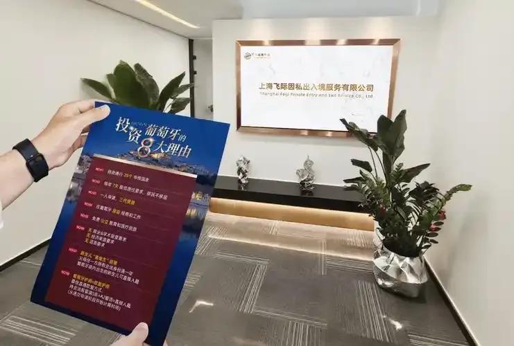 谁曾想，一个靠贩卖美国梦赚得盆满钵满的移民中介，最后却发现他亲手给孩子铺的不是金