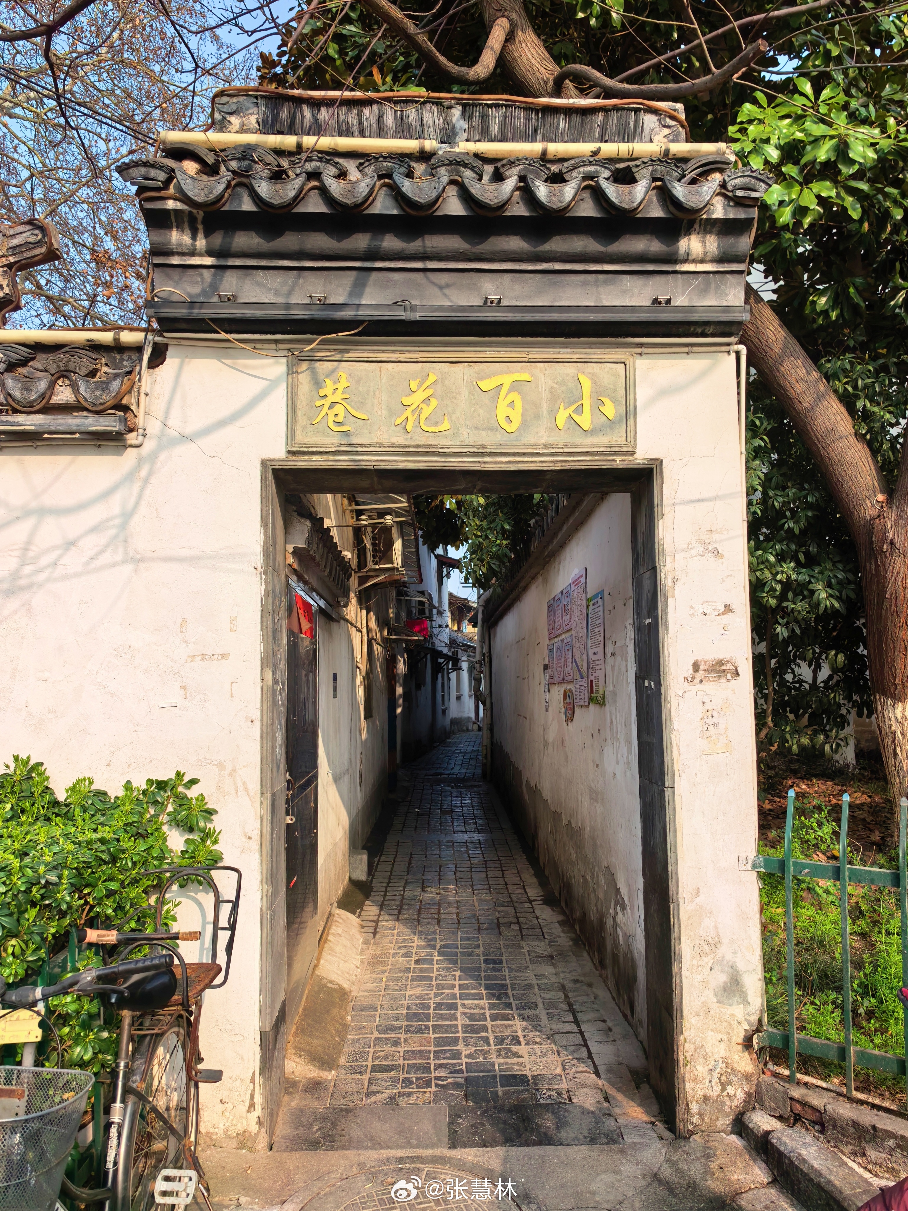 探秘自然生活点滴【南京小百花巷】南京小百花巷：老城南的千年烟火与风骨。在南京秦淮