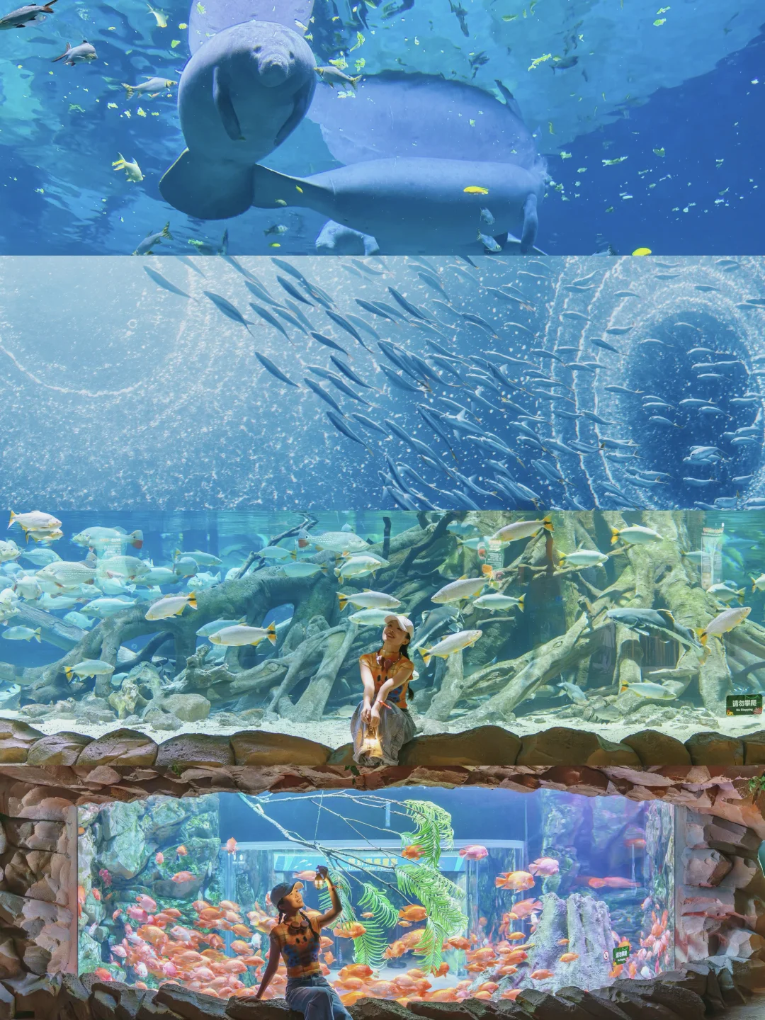 为了这片梦幻海底🌊我专门来了趟珠海