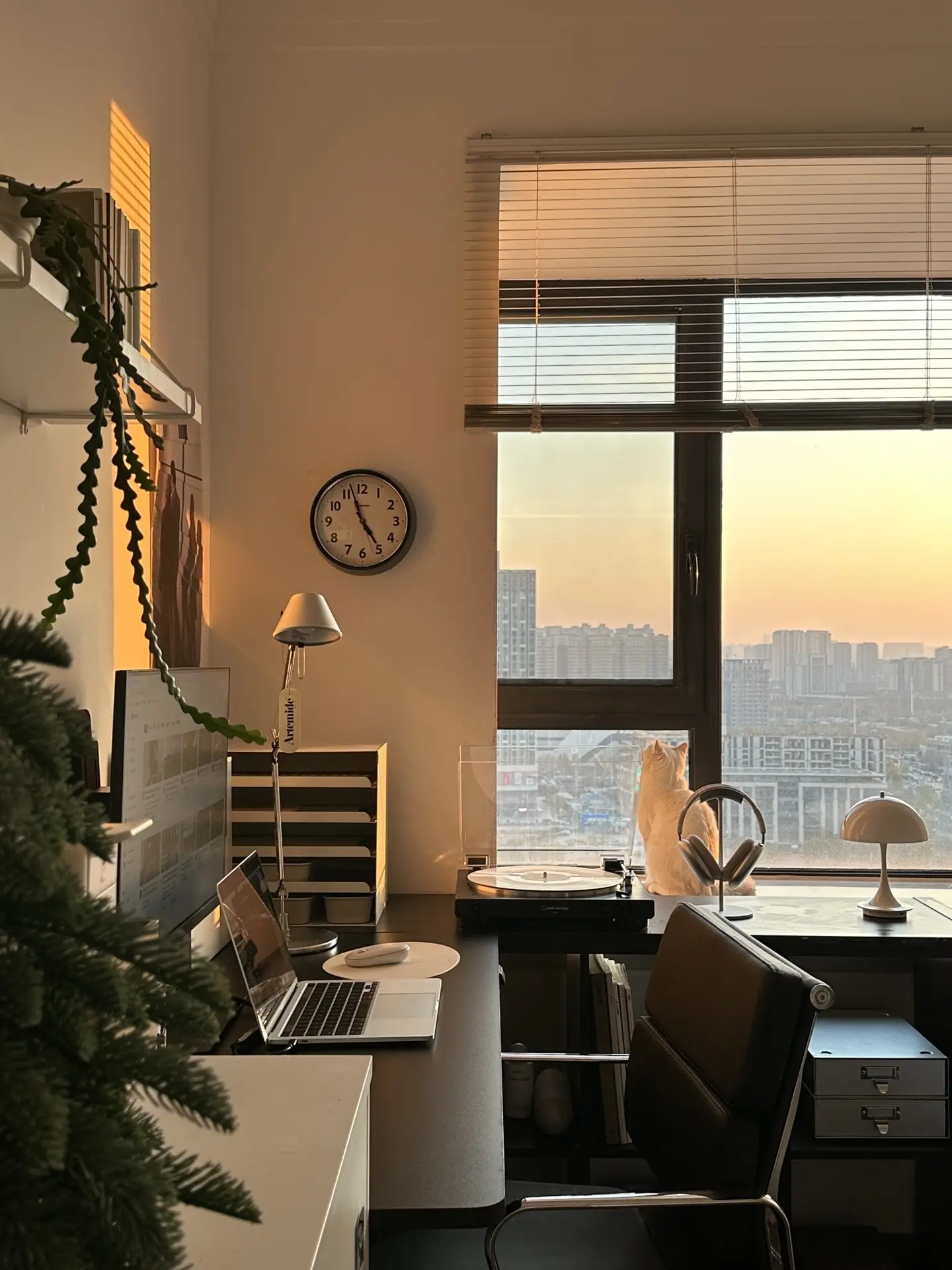 下午5:00的时候。