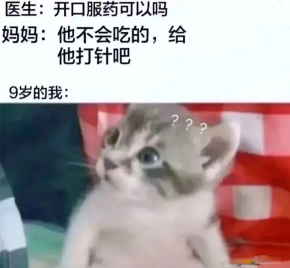 诶不是 