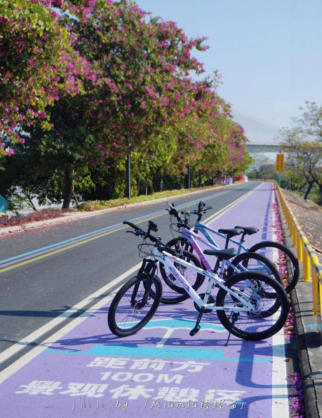 番禺沙湾💜🚴紫色绿道租车骑行指南
💜 沙湾紫泥村紫色环岛绿道
🚴 环岛全