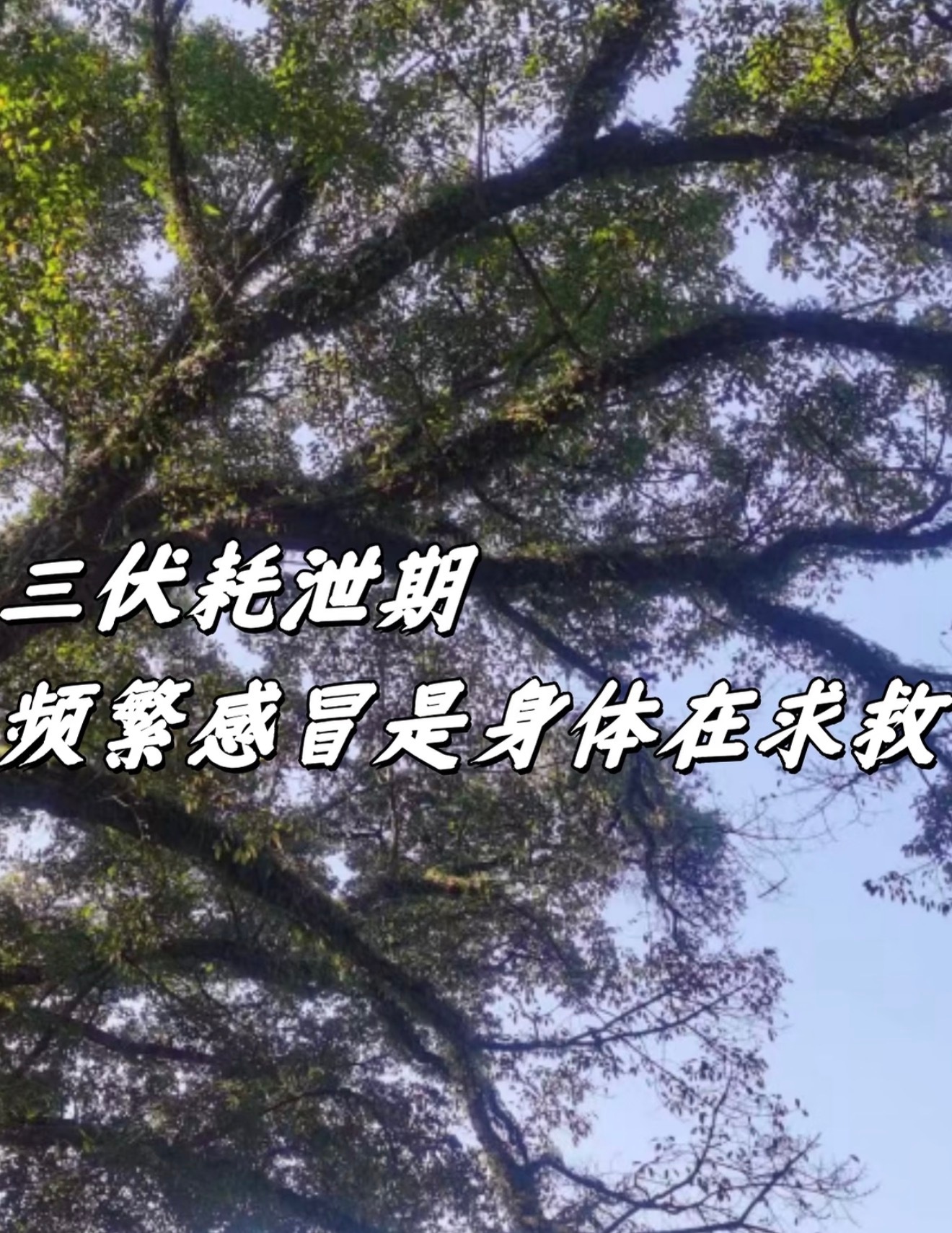 三伏天了为什么还会感冒 三伏天高发热伤风，天热毛孔张开，频繁进出低温空调房、猛吃
