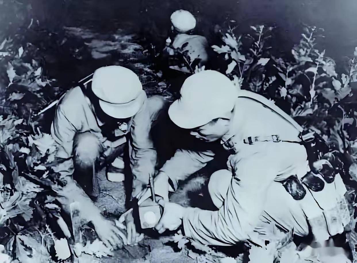 1952年，一个志愿军战士悄悄顺走一袋美军地雷，兴冲冲带回阵地向连长请功，谁知连