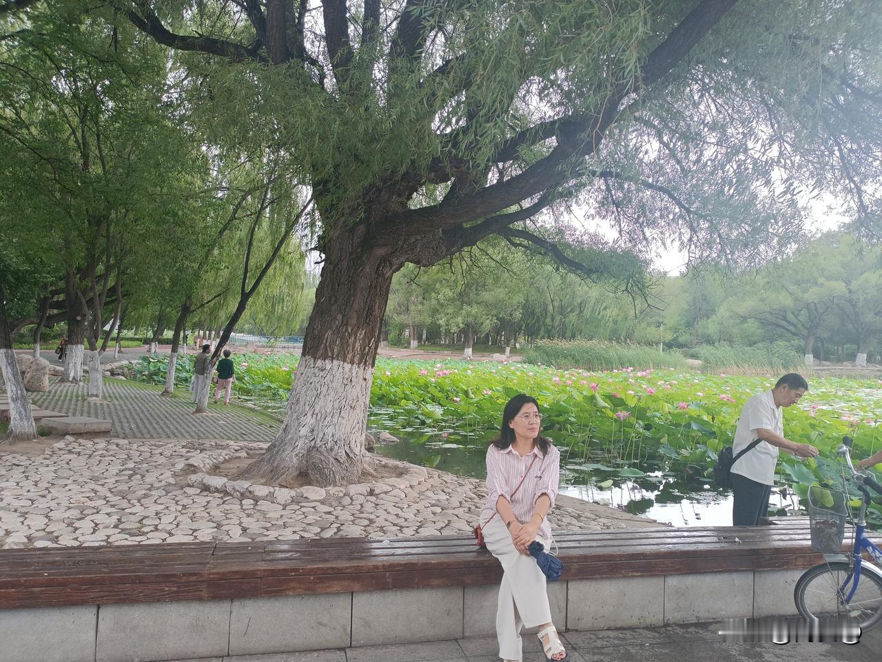 8月18日，呼和浩特，早安
阳光明媚，不急不慌，好好感受早晨这份安静，没有打扰，