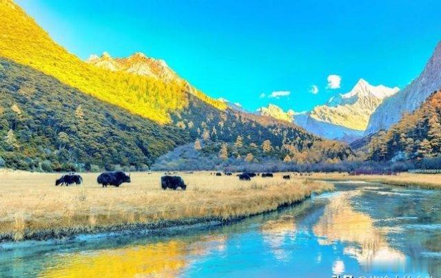 泸州旅行 【四川·稻城亚丁：眼睛在天堂，身体在地狱，却让人甘愿奔赴】稻城亚丁被称