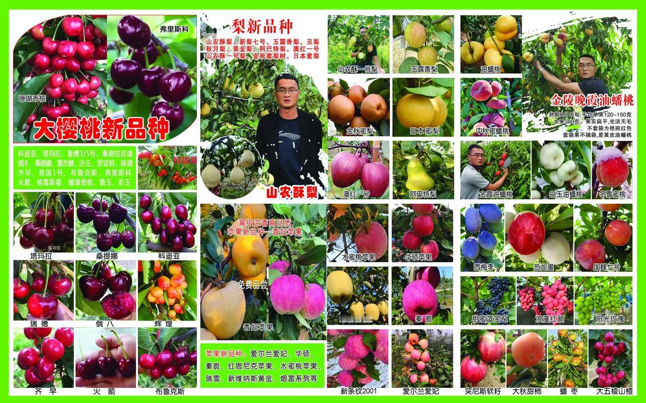 2023砥砺强行，喜欢栽植果树的朋友，共同发展。