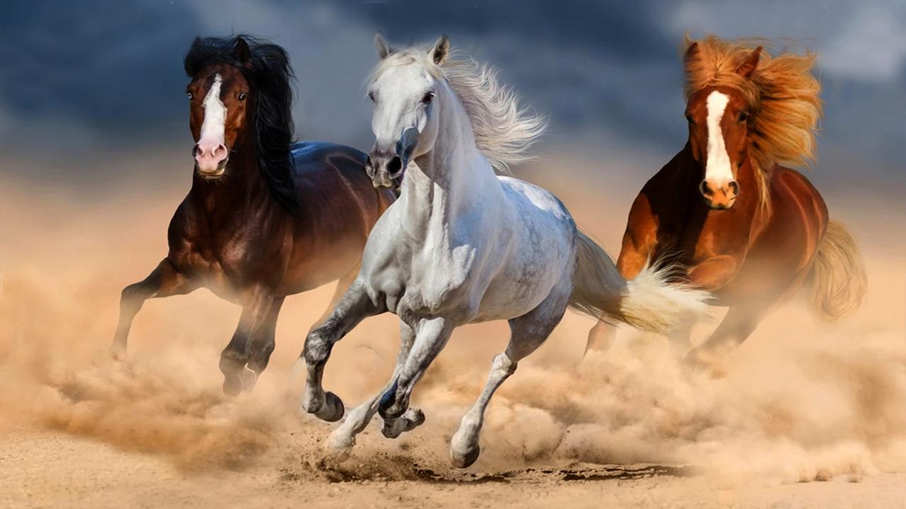 第二张高清奔腾的骏马奔驰而来，喜欢可以试试AI生成动态视频，发送朋友圈，赢得朋友