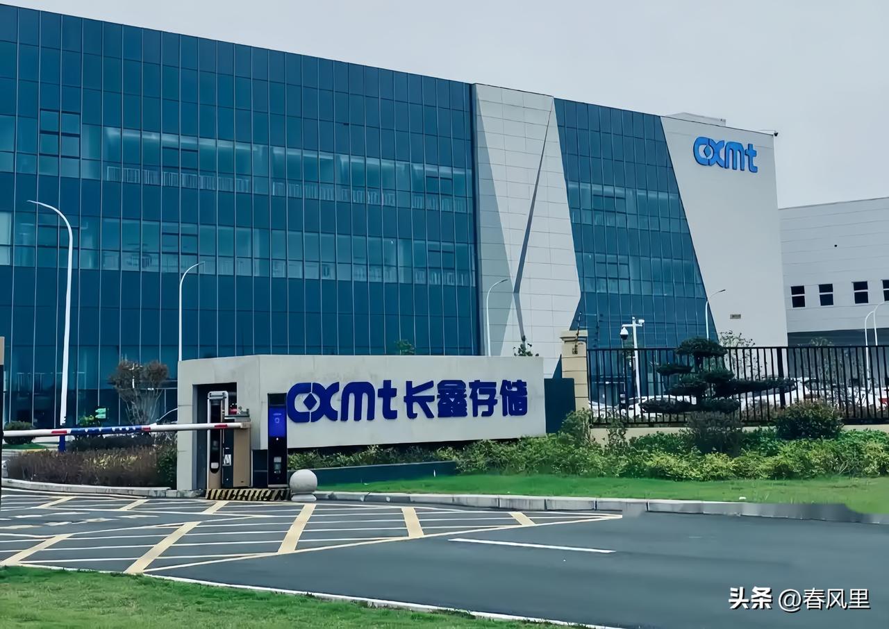 抄合肥作业，宜春淄博交了百亿学费

合肥市孵化上市的长鑫科技，按上市首日收盘市值