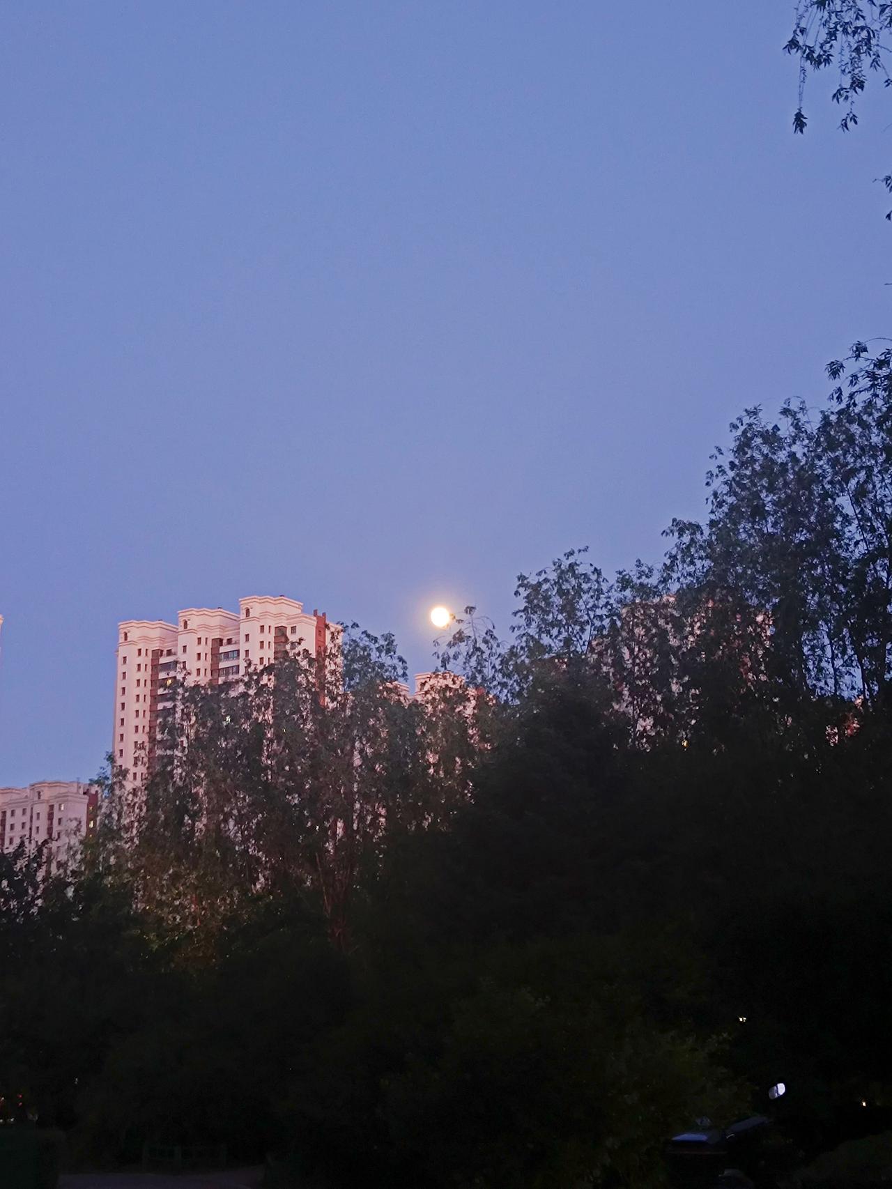 随手拍张照晚风、树影、月亮刚爬上楼檐，小区的夜晚，是独属于自己的安静时刻。