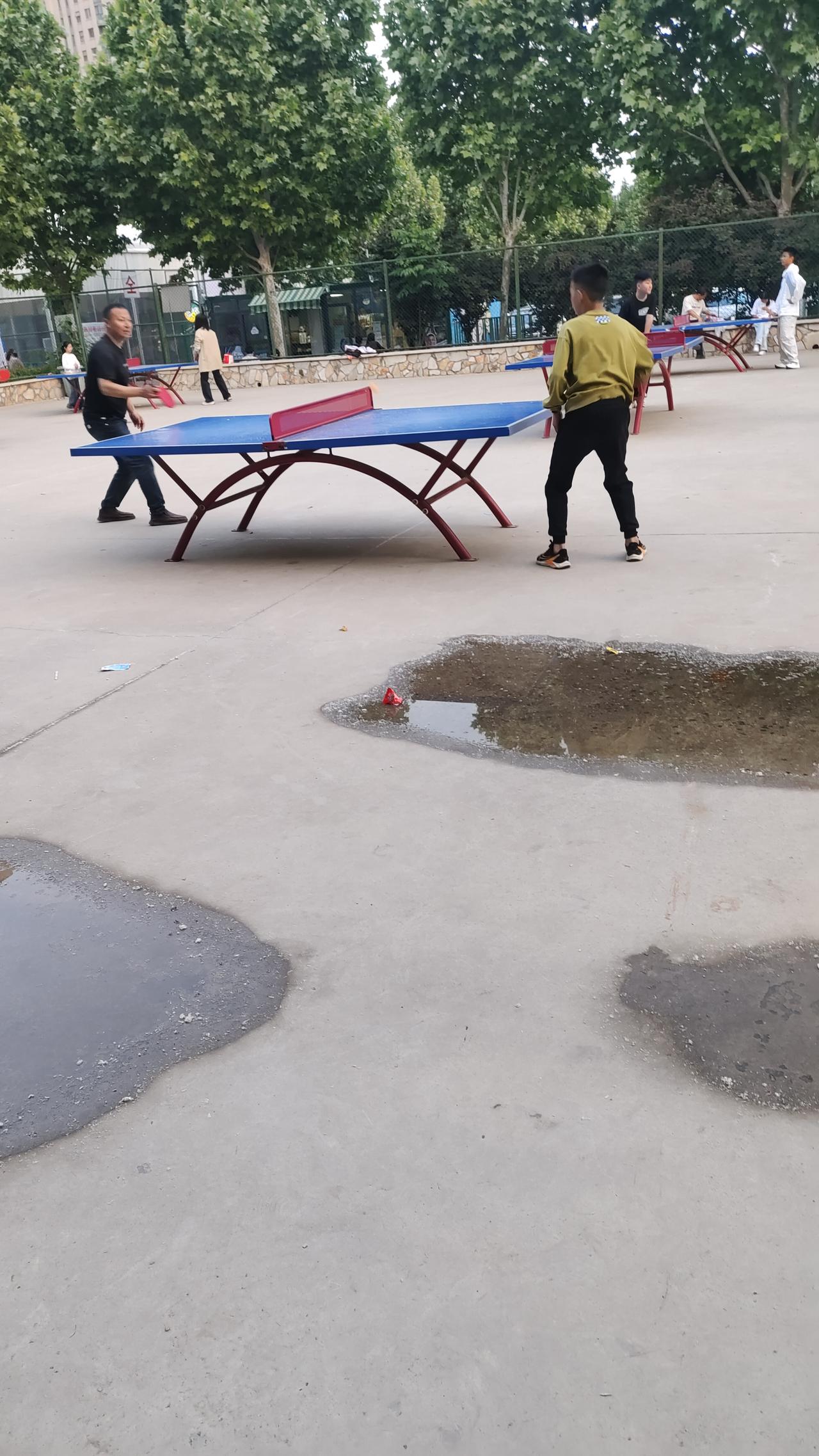 每到周五周六，体育场就有父母带孩子打乒乓球的。
今天有个小朋友看起来还没幼儿园毕