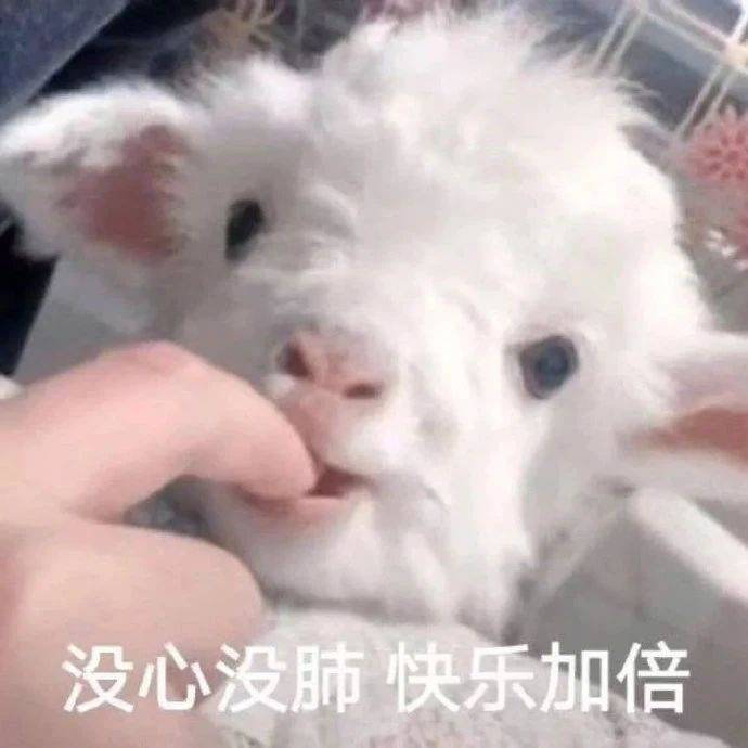 人性的丑陋之处就是：有的人明明自己揣着私心，却苛求别人的大度，人之所以能走着走着