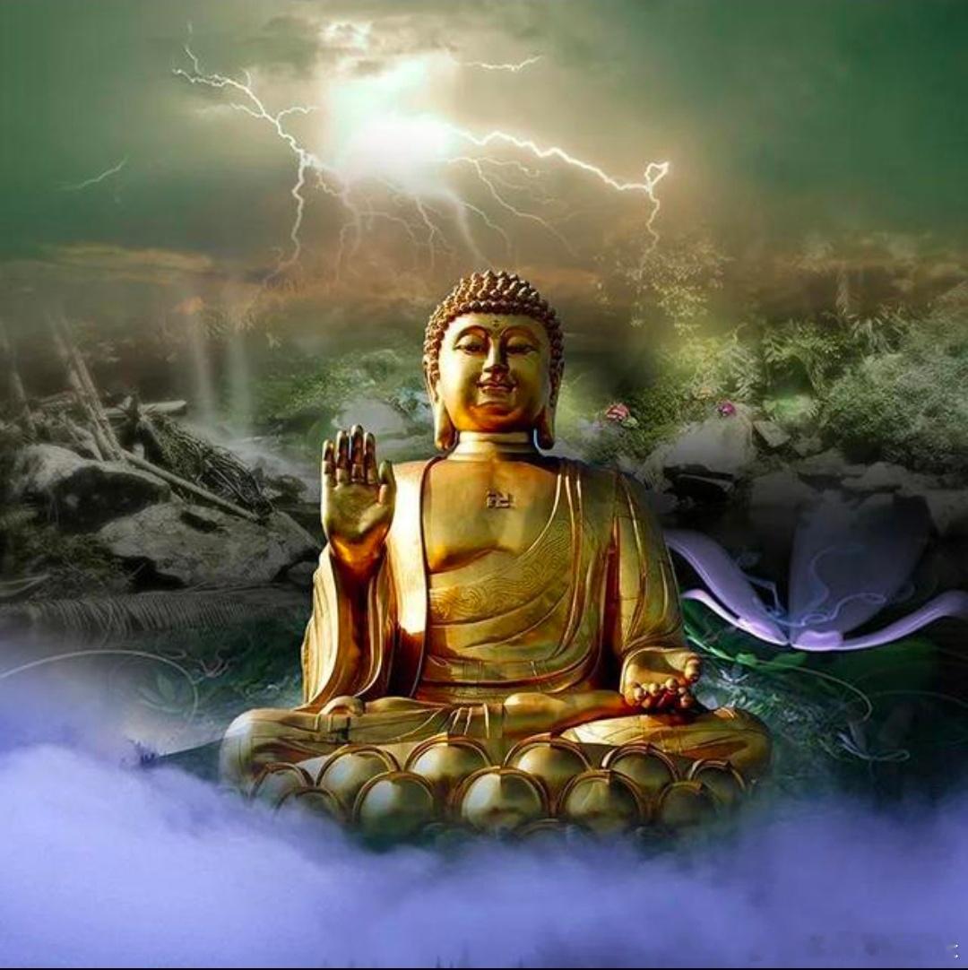 股友们！刷到佛祖啦，好运就来啦！顺手点个👍赞，评论区留个“888”，一起讨个好