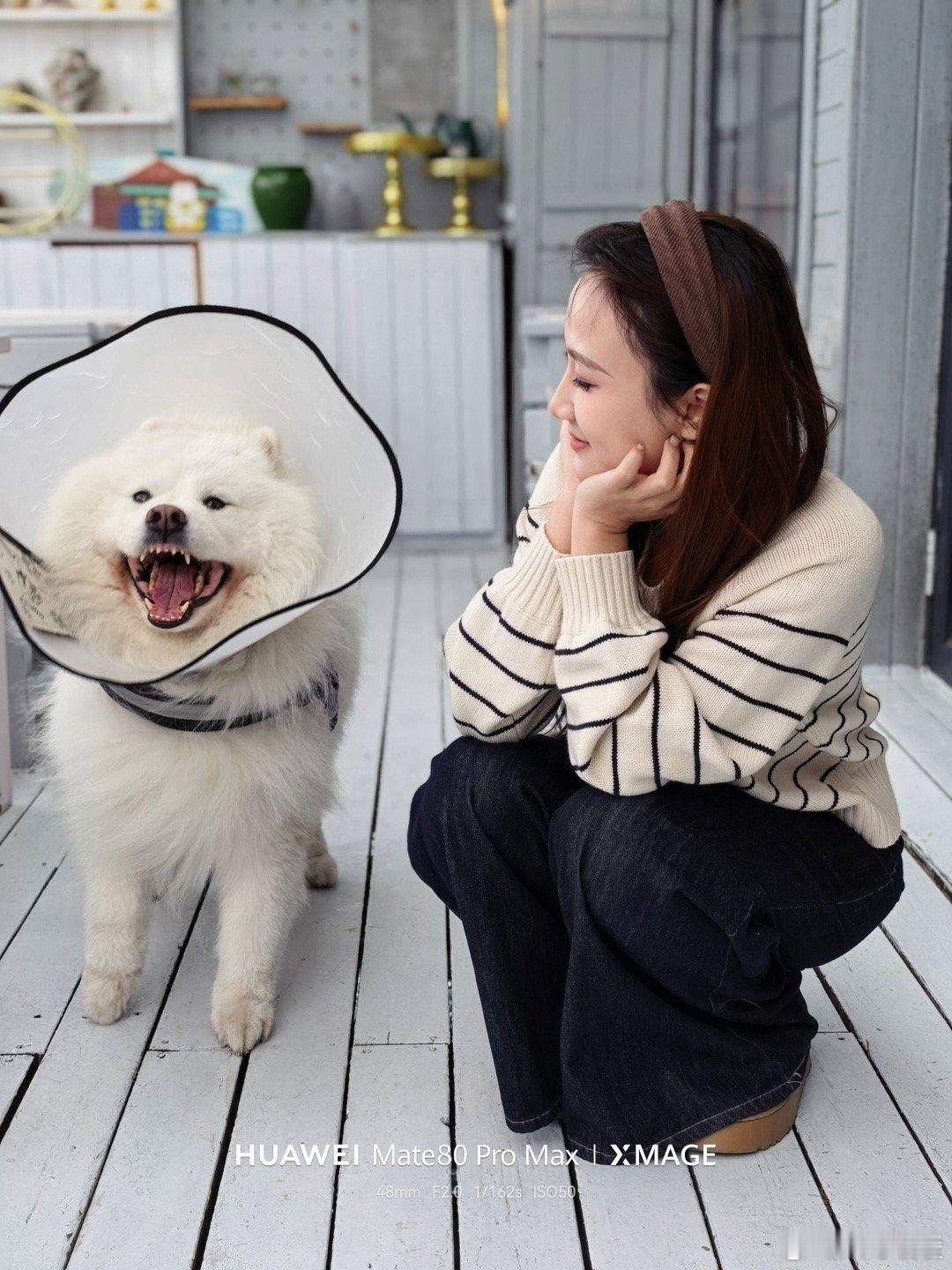 我国宠物市场规模突破6000亿说到底是大家对情感陪伴的刚需，如今快节奏生活里，宠