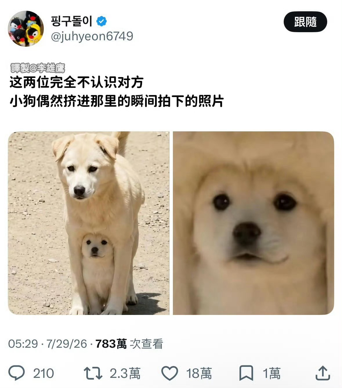 【投稿】16的姐妹感就这样… ​​​