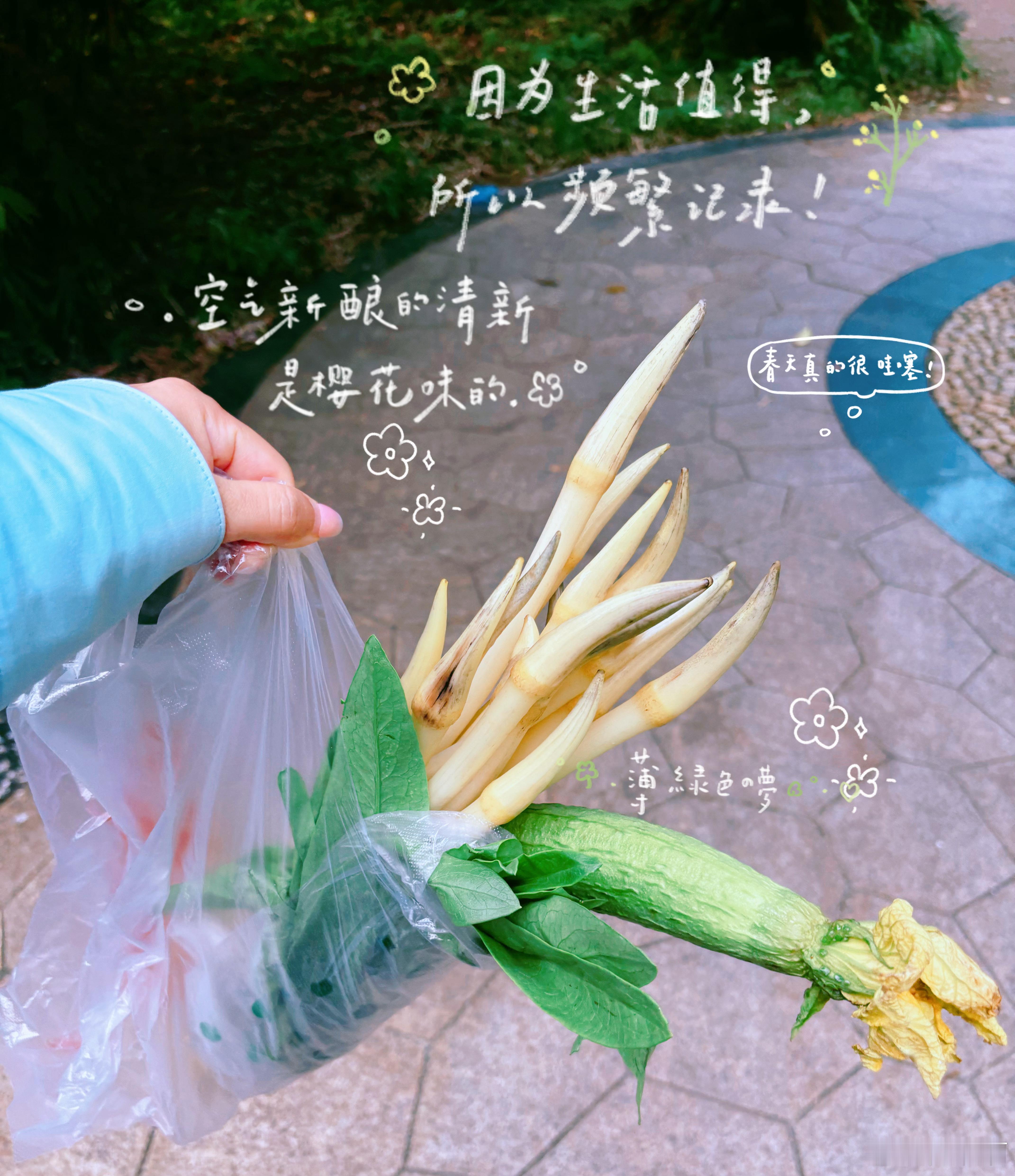 清晨拉开窗帘的那一刻，被眼前的日出狠狠治愈。晨光漫洒，微风拂面，湖面碎金般波光粼