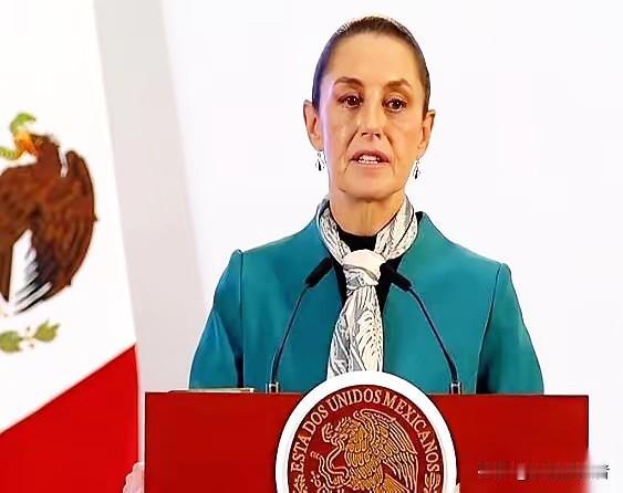 墨西哥以为自己拿到了一张王牌：对两千多种中国货，加征50%的关税。

白宫的贸易