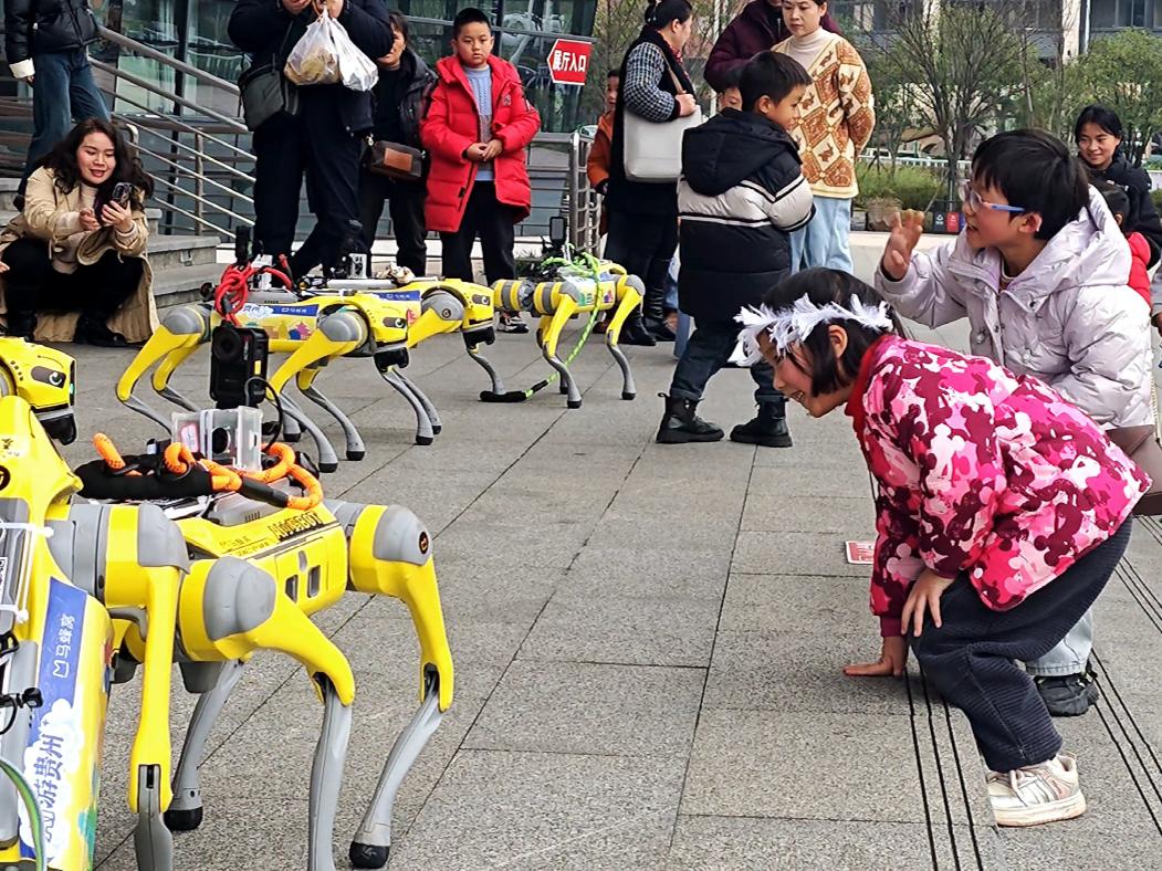 新年“旺旺旺”AI机器狗亮“绝活”
1月1日