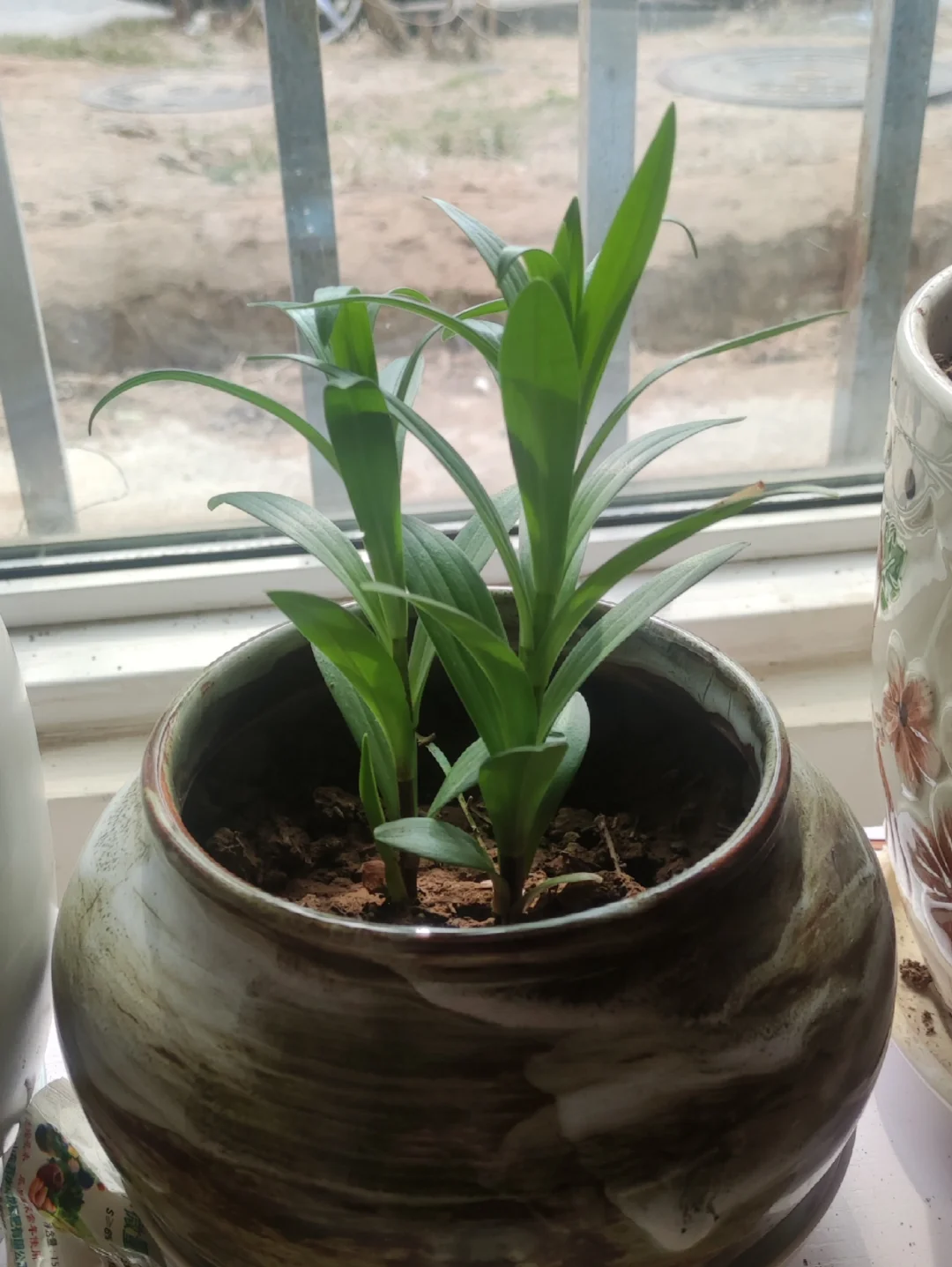 稀土，硅料，白银“纯度”