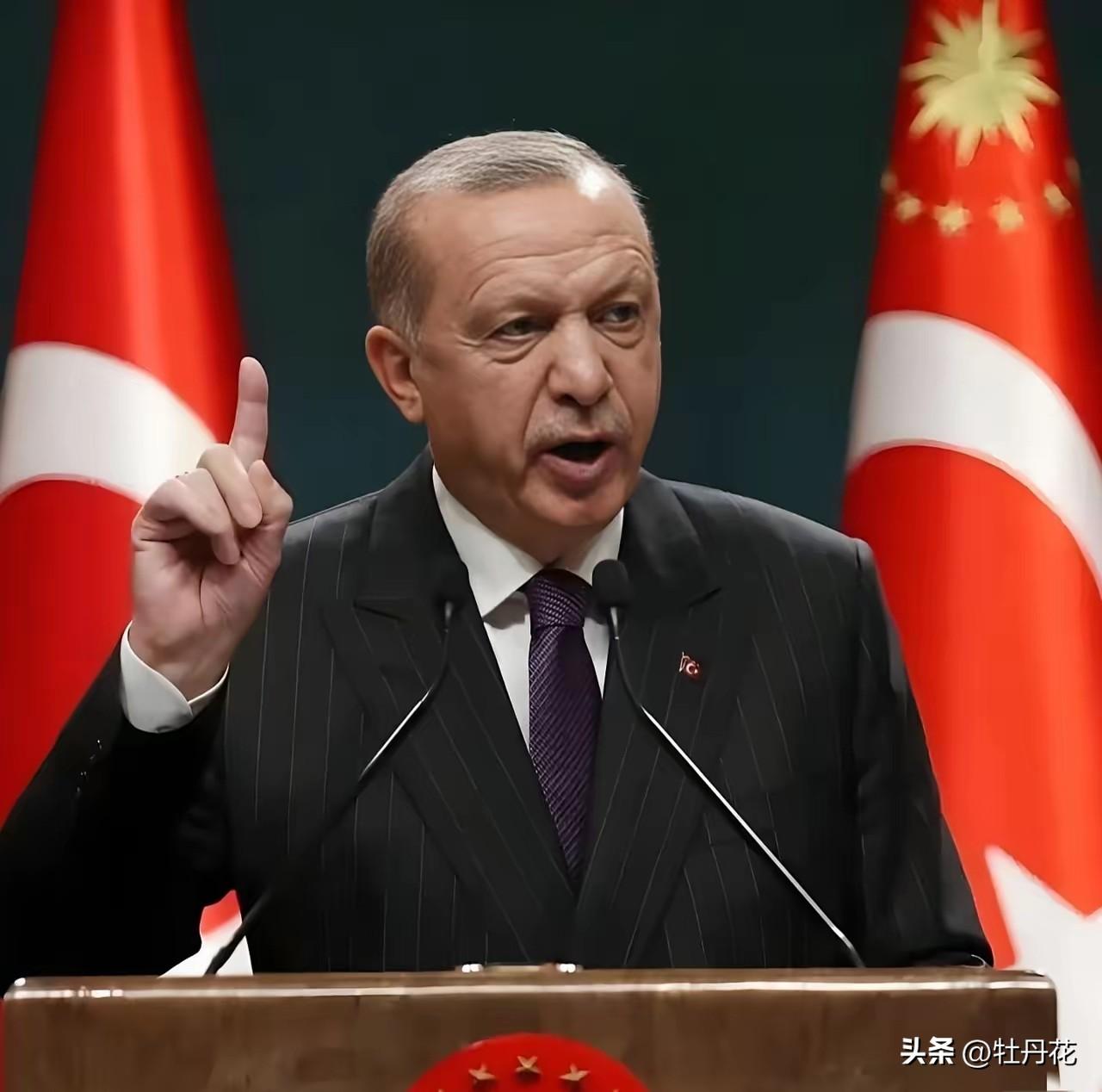 中国和土耳其谈话了
3月25日，土耳其终于等不了了，一通电话打到了中国，土耳其外