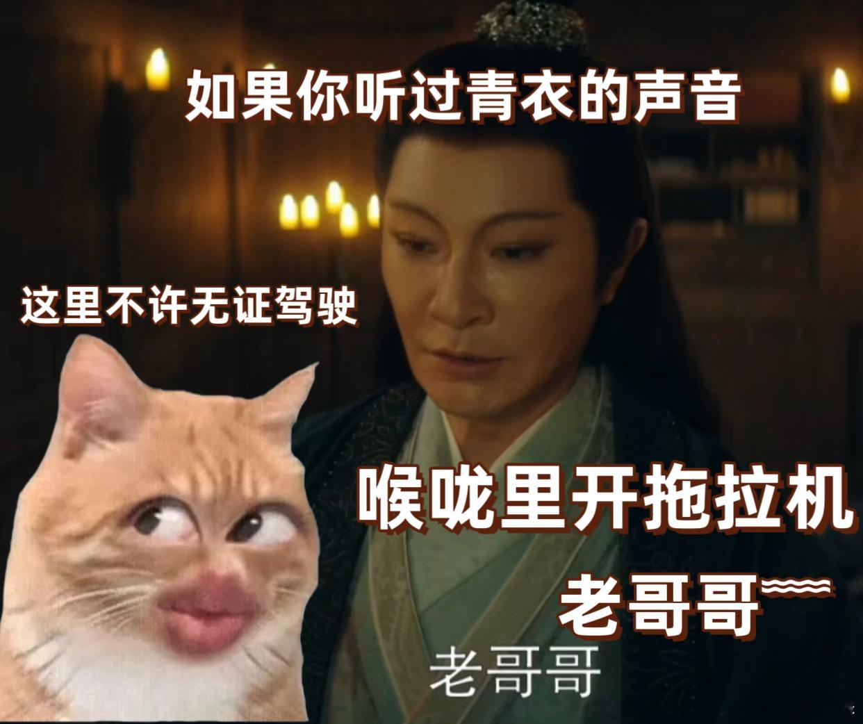 你叫青衣你在喉咙里开拖拉机 编剧的恶趣味我 get 到了！《长安二十四计》青衣顶