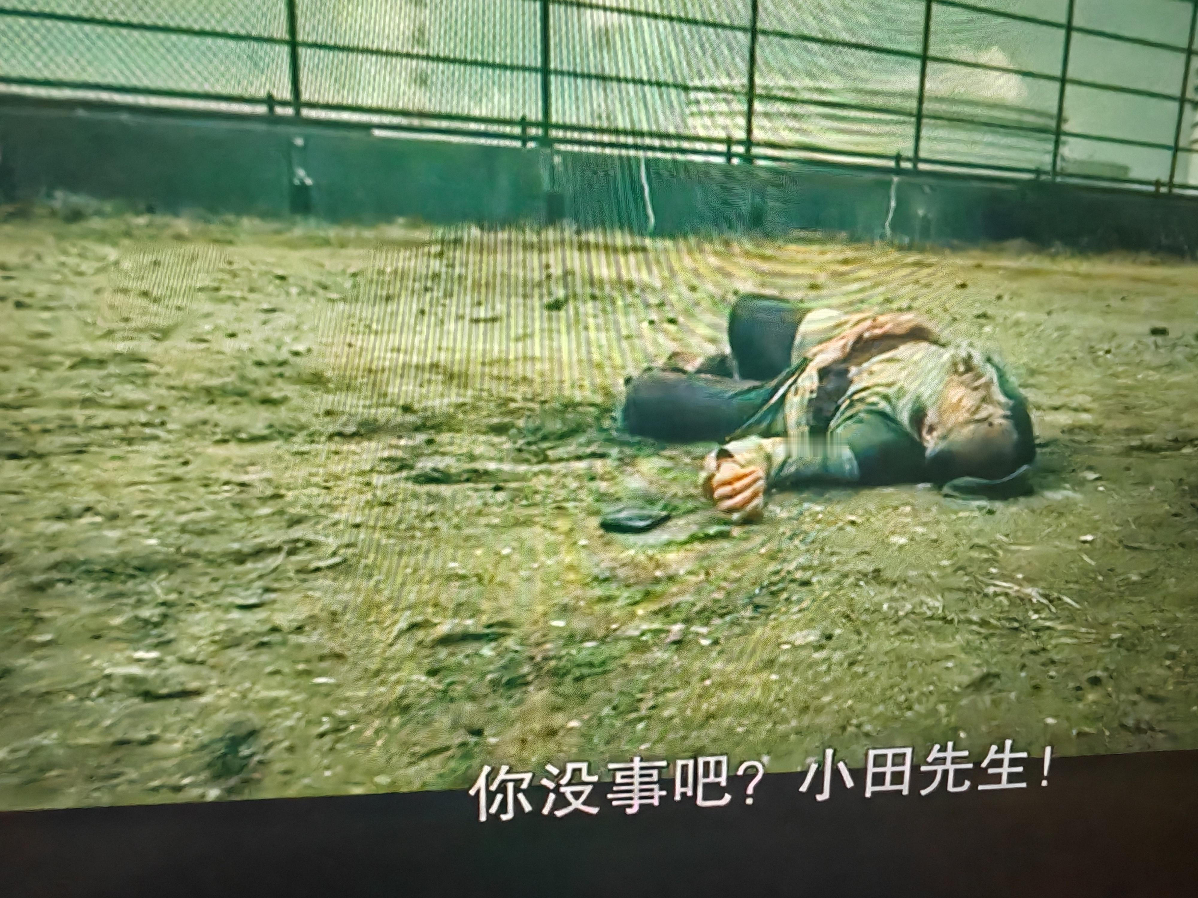 苍井优 这个时候你在扮蠢是吧无语气体人第一号