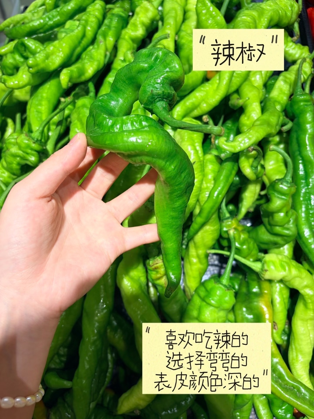 00后真正的青年大学习 