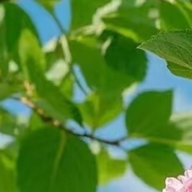 阳光信用 成长的标志， 不是学会说多少大道理， 而是开始用心去共情， 做事将心比