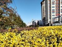 在头条上看了这篇笔记后我很有感触。

很显然，女主不爱男主了，这是肯定的，毋庸置