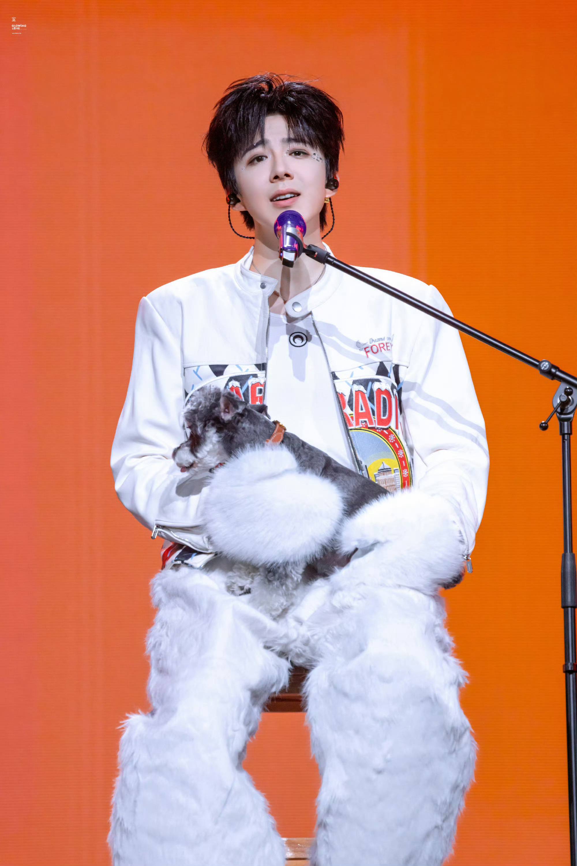 本周我完成了连续7天铁粉打卡，与 的铁粉值额外增加1分！老大。昨日少年。今日顶刘