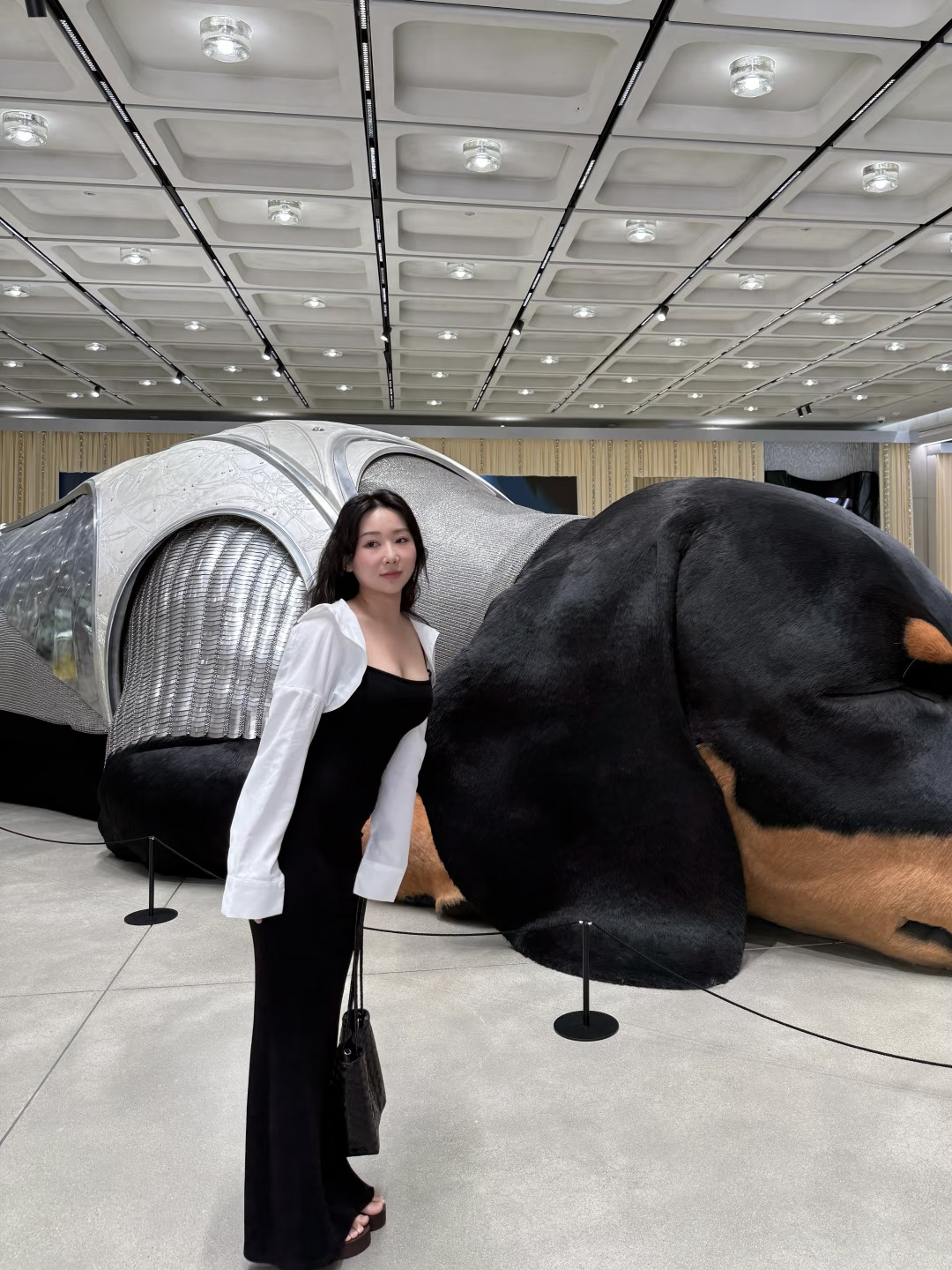 快来圣水拍巨型狗狗🇰🇷하우스 노웨어 서울