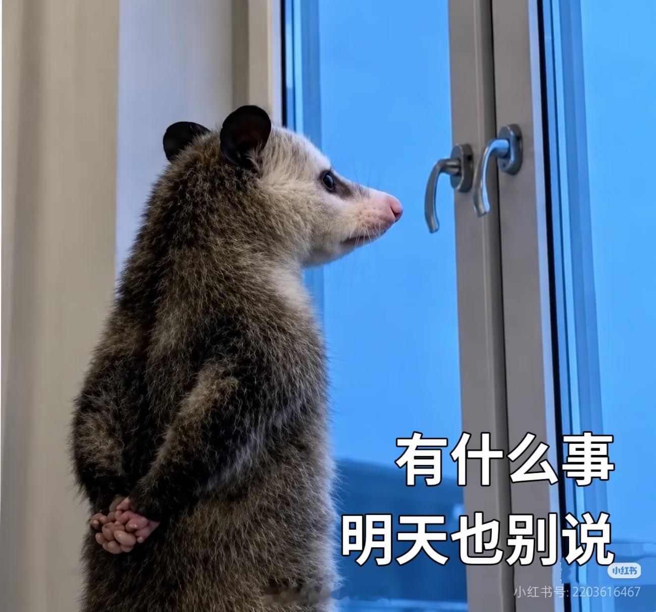 仓鼠coser屯了很多衣服。。。有的服装道具已经屯了两三年了（甚至有更久的，已经