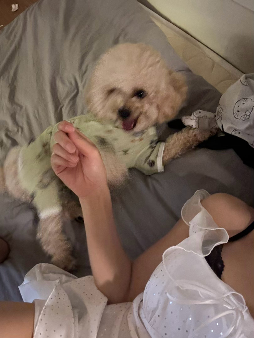 到点准时发疯🤪 