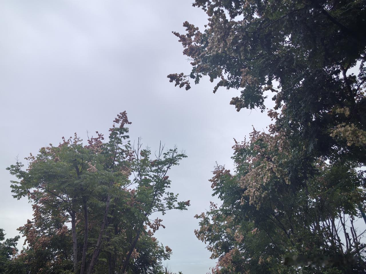 以前有人说因果报应，我总是将信将疑的。但老舅如今基本没自由，我有点信了！

记得