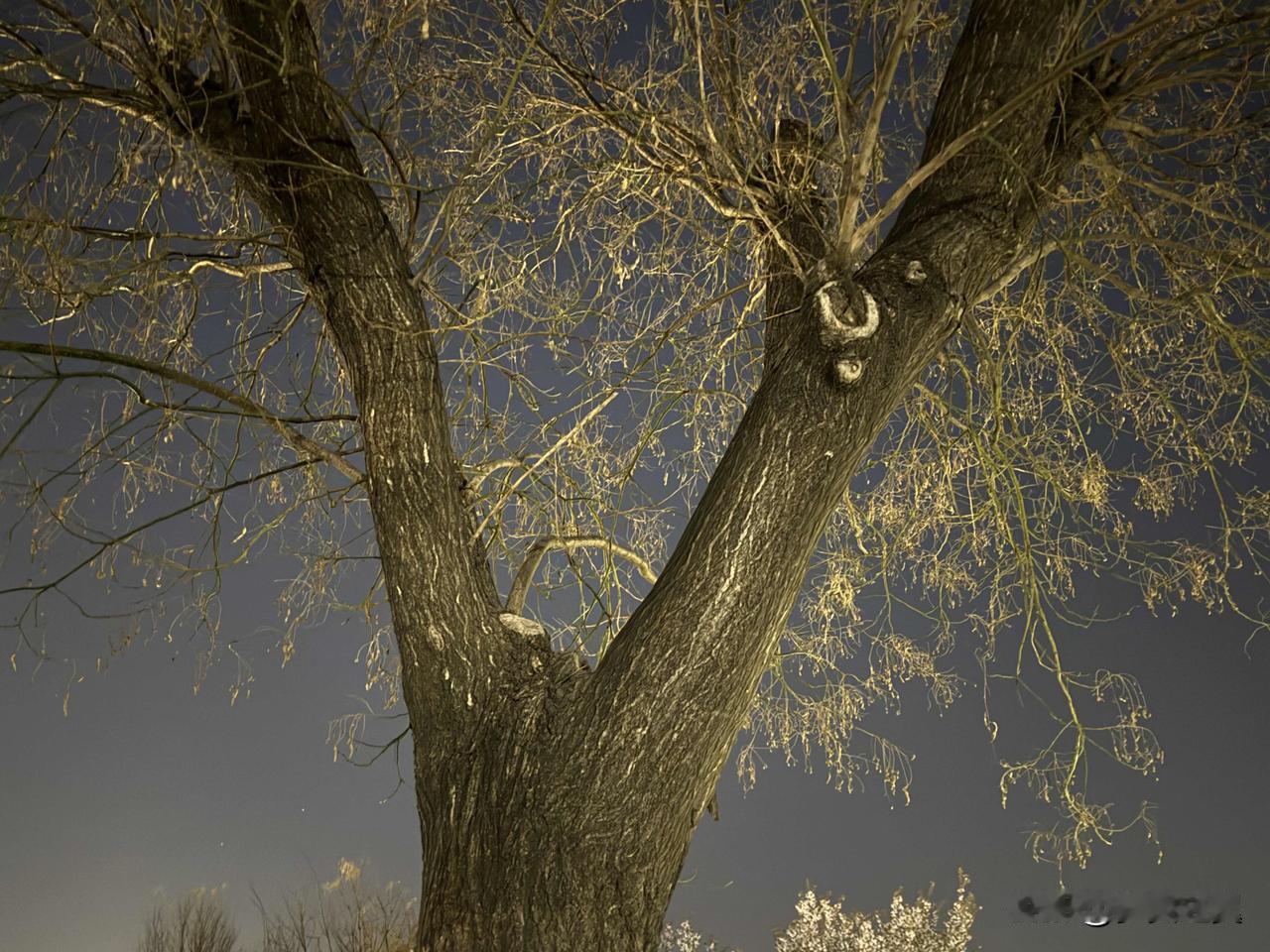 【小对联】
上：……？
下：星光。