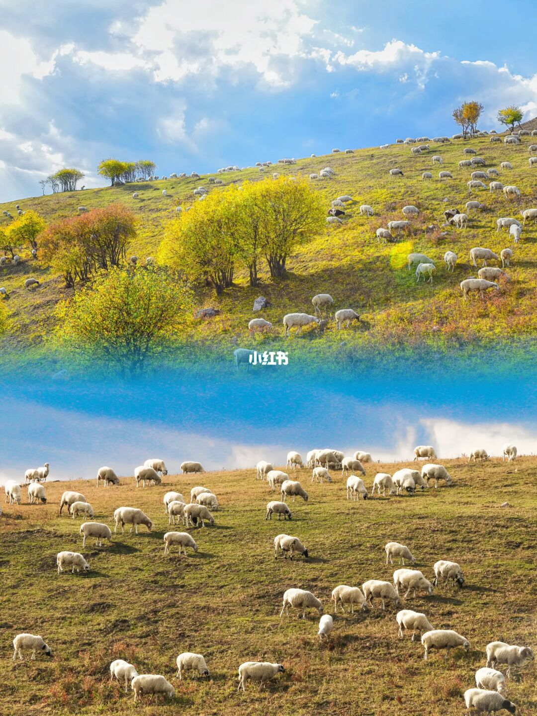 十一去哪玩？自驾百里天路，秋色正当时！