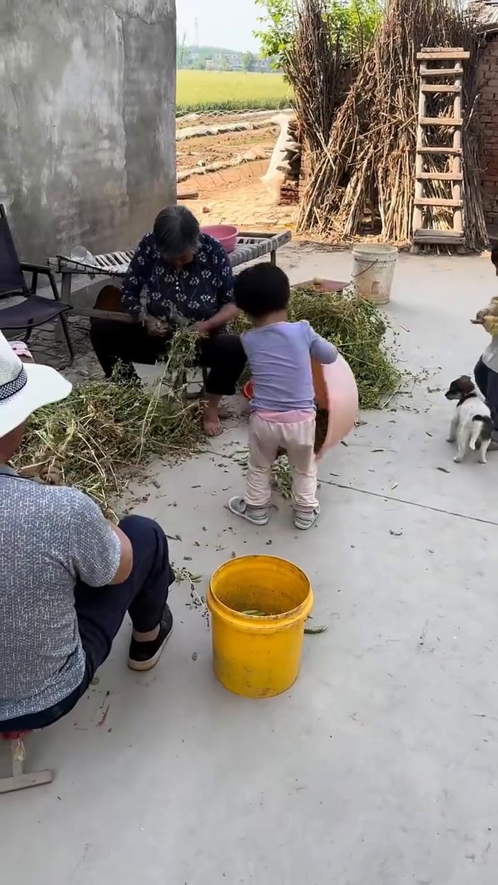 哎呦我的妈，哈哈哈。